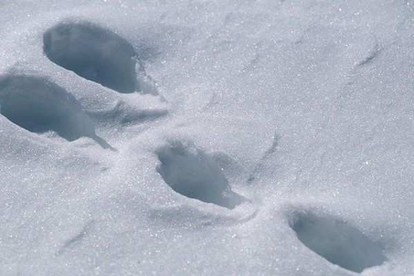 De la neige la semaine prochaine dans le Nord Pas-de-Calais ? Météo France en parle mais on ne sait pas encore en quelles quantités. 