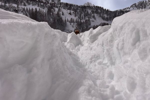 Le 10 mars, à Isola 2000, le manteau neigeux offrait des conditions optimales pour les amateurs de sport de glisse.