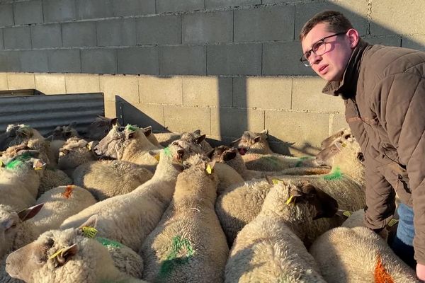 Corentin Persillet, éleveur ovin à Lathus-St-Rémy (Vienne), est un ancien élève du lycée agricole de Montmorillon.