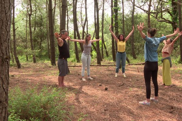 Balade sensorielle à Saint-Trojan, sur l'île d'Oléron, dans le cadre des Nuits des forêts