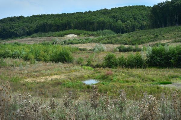 Projet de retenue d'eau sur le site de Sivens dans le Tarn, le 9 septembre 2019.