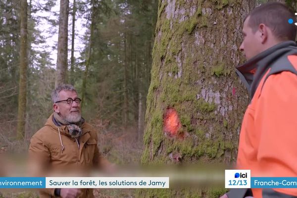 Jamy Gourmaud dans une scierie du Jura.