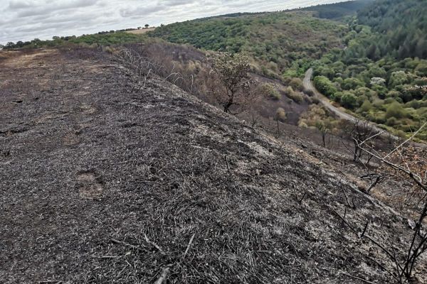 Mercredi 25 août, 68 hectares de végétation ont brûlé à Montluçon dans l'Allier.