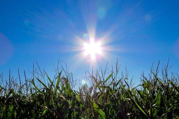 Grand soleil ce vendredi selon Météo France