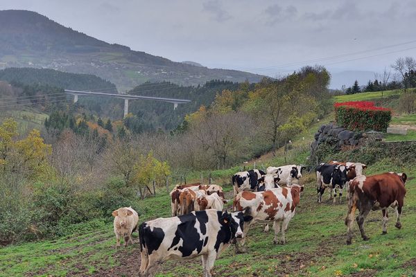 Les travaux du viaduc de Ramel (Haute-Loire) devraient prendre fin dans une quinzaine de jours.