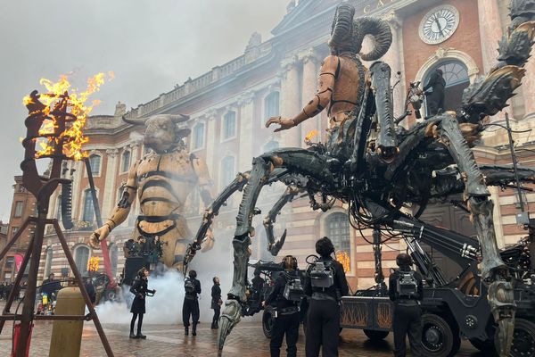 La rencontre des deux créatures, place du Capitole.