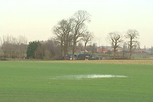 Les migrants se sont regroupés à Steenvoorde dans ce petit bosquet, près d'une aire d'autoroute.