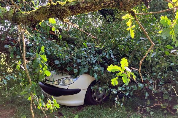 À proximité de l'abbaye de Bon repos, plusieurs arbres sont tombés sur des voitures, sans faire de blessé, mercredi 31 juillet 2024