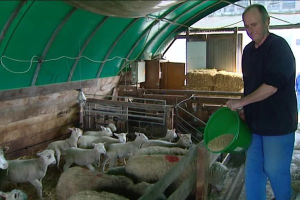 Un élevage d'ovins, des céréales et du maraîchage : c'était la production de l'exploitation agricole de l'hôpital Saint-Ylie
