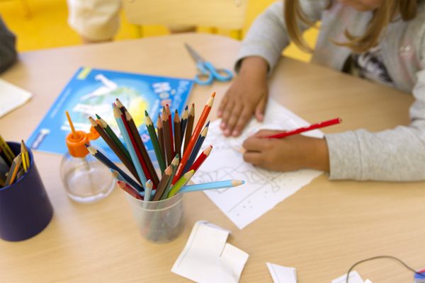 Les colonies de vacances proposées par la Ligue de l'enseignement de Haute-Saône permettront aux enfants d'aborder des notions scolaires le matin et de pratiquer différentes activités divertissantes l'après-midi.