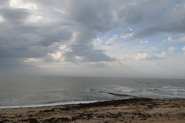 L'île de Ré. 