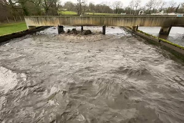 L'eau en sortie de station d'épuration contient des bactéries, des virus... Pour être utilisable, ces microorganismes doivent être détruits.