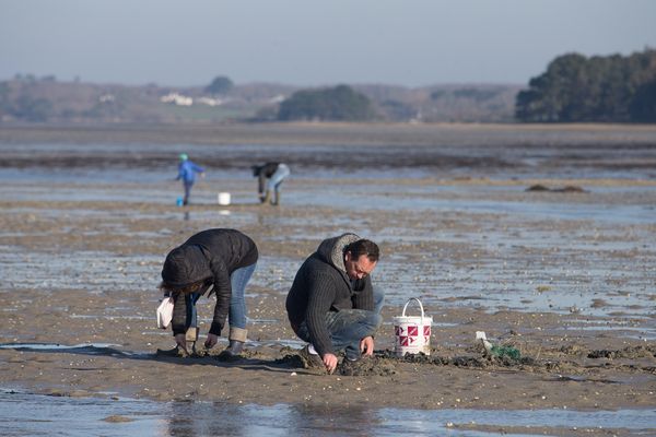 Les grandes marées attirent toujours beaucoup de monde sur le littoral.