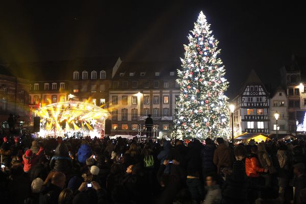 Le grand sapin de Noël 2014 est illuminé