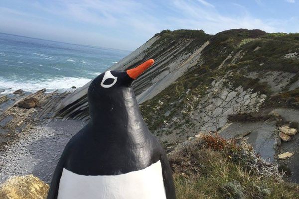 Découvrez un Pays basque maritime insolite et méconnu avec Cap Sud-Ouest, dimanche à 12h55