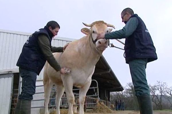 Fétiche et les quatre lycéens d'Orthez vont participer à un concours au Salon.