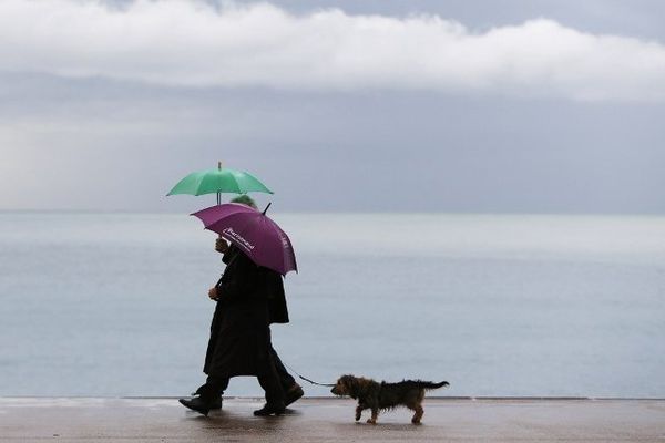 Un temps de chien !