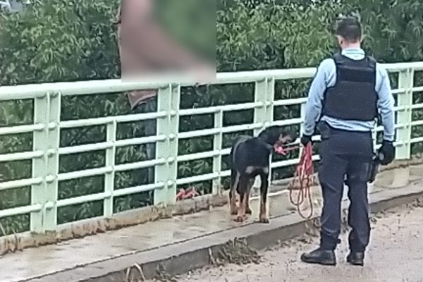 Tina, la chienne du desespéré,  a permis aux secours d'entamer le dialogue