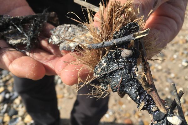 Des boulettes d'hydrocarbures ont été retrouvées sur la plage de Villeneuve-les-Maguelone - 8 novembre 2018