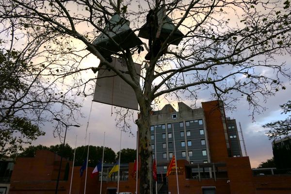 Trois grimpeurs se trouvent dans un arbre devant le Conseil régional de Toulouse, dont Thomas Brail, lundi 11 septembre 2023.