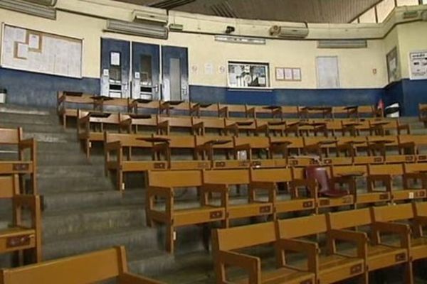 la criée de Sète désertée par les mareyeurs en grève