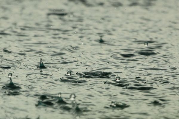 Grisaille et pluie en ce jeudi 26 décembre