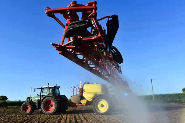 L'association de défense de l'environnement Générations Futures a dévoilé mardi 20 novembre la carte de France des lieux où sont vendus perturbateurs endocriniens et substances les plus toxiques. L'Allier n'y apparaît pas sous son meilleur jour.