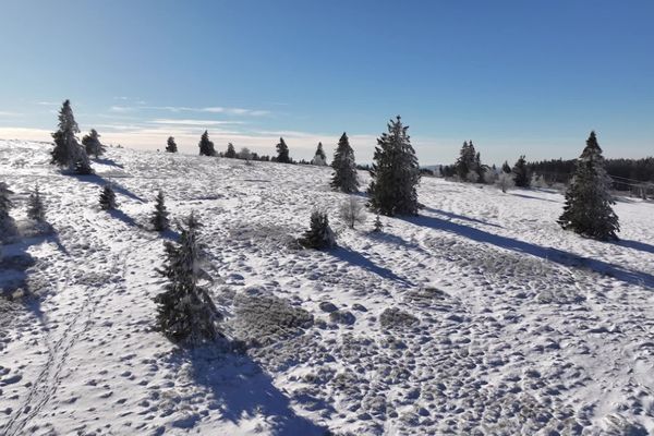 Un peu de neige est tombée au Champ du feu ce dimanche. Un léger manteau blanc qui devrait concerner tout le sud de l'Alsace dès mercredi.