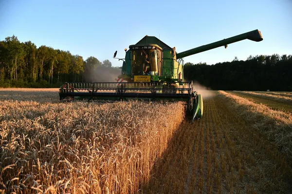 Le collectif "Ici la Terre" a lancé en octobre 2019 un numéro vert. Dans le cadre du Salon de l'agriculture, il a également lancé une nouvelle campagne visant à faire connaitre le travail des artisans agricoles à travers des photographies de leurs mains au travail.