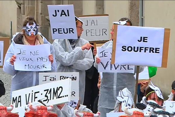 Le syndicat des bouchers-charcutiers portera plainte à chaque nouvelle insulte