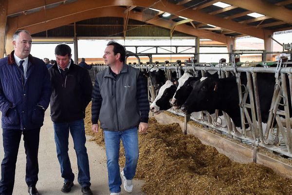 Didier Guillaume, en déplacement vendredi dans une exploitation de l'Est de la France.    