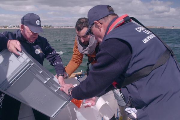 Au côté de plaisanciers en rade de Lorient, Félix Urvois participe à une journée de prélèvement d'eau de mer pour le programme Objectif plancton.