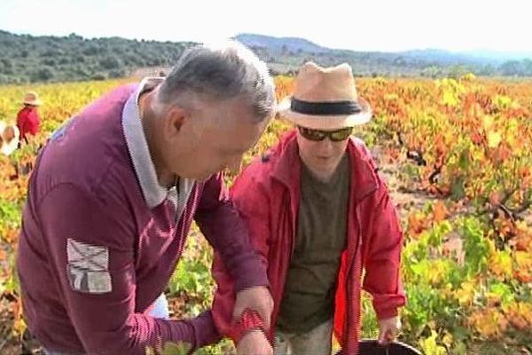 Une manière de dépasser son handicap pour les aveugles et malvoyants qui ont vendangé à Tarerach, dans les Pyrénées-Orientales - 7 octobre 2015