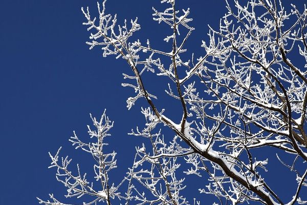 La neige va-t-elle s'installer sur la région ... ou pas ? 