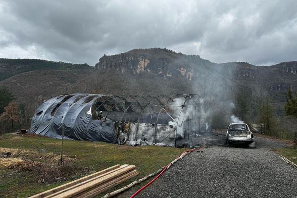 Une femme d'une trentaine d'années a été très grièvement brûlée lors de l'incendie d'un hangar à Trèves dans les Cévennes gardoises.  Le hangar abritait des animaux. Ils ont péri dans l'incendie.