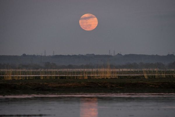 La Super Lune, super lumineuse, sera visible partout dans la région toute la nuit.