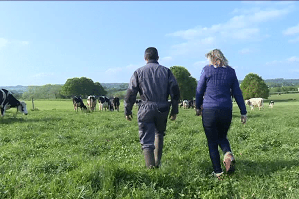 A Maure de Bretagne, la ferme bio d'Ana-Soiz produit du lait qu'elle transforme sur place.