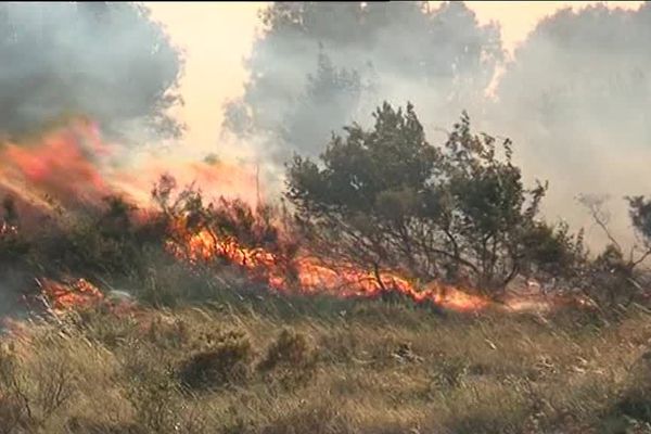 L'incendie pourrait durer toute la nuit entre Cerbère et Banyuls, dans les Pyrénées-Orientales. La route 914 est coupée.