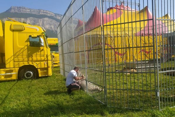 L'installation du cirque Franco-Belge fait polémique à Meylan, la municipalité s'opposant à la présence d'animaux en captivité.