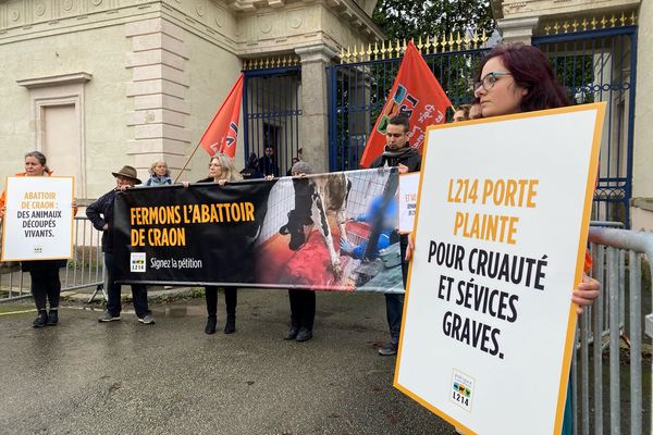 L214 devant les portes de la préfecture de Laval en Mayenne pour remettre une pétition demandant la fermeture de l'abattoir de Craon, le 24 janvier 2024