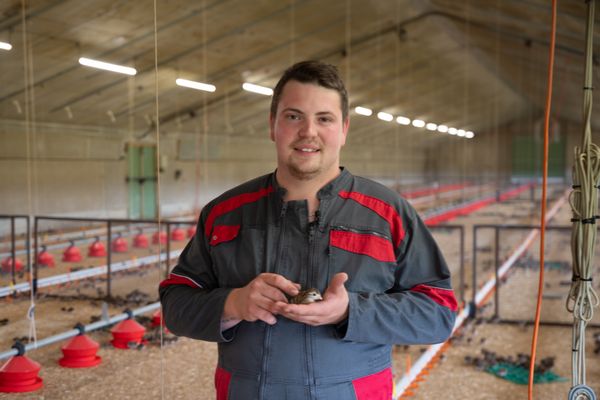 Victor Plichon, éleveur de volailles à Mosnes en Indre-et-Loire, finaliste du concours Graines d'agriculteurs 2024