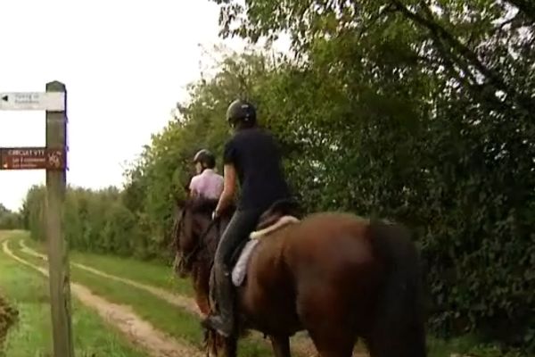 Le sentier équestre relie Corcelles-les-Monts à Morey-Saint-Denis en Côte-d'Or