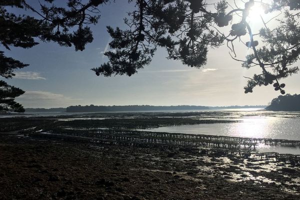 Du côté de Larmor dans le Morbihan