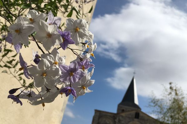 Le soleil se montre très généreux