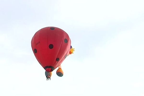 Un "cloudhoppers " en forme de...coccinelle !