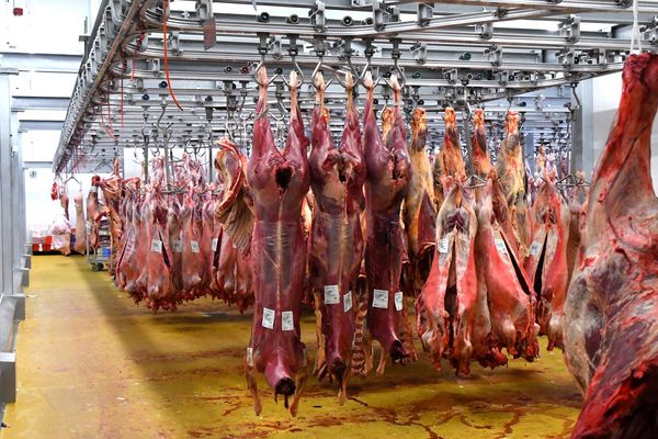 "Le virus ne se transmet pas par la viande", affirment les autorités sanitaires.