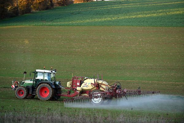 Un agriculteur épandant des pesticides sur ses cultures, en novembre 2020 (photo d'illustration).