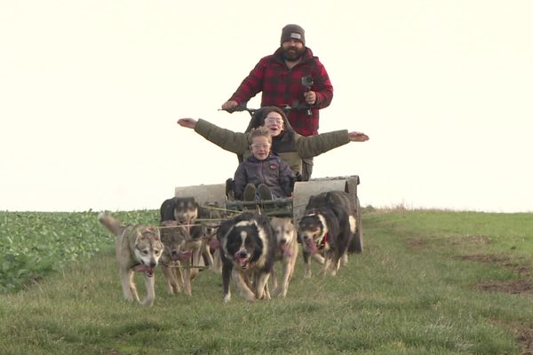 Vincent a créé l'activité de doggy-kart il y a trois ans près d'Hermonville dans la Marne.