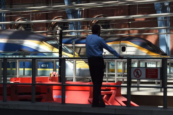 Des Eurostar en gare de Saint-Pancras à Londres.