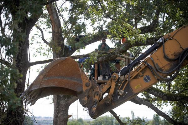 Une dizaine de manifestants sont encore dans les arbres et sur le toit de la maison